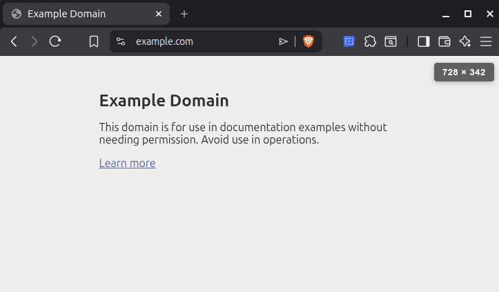 Viewport overlay showing 728 × 342 on example.com
